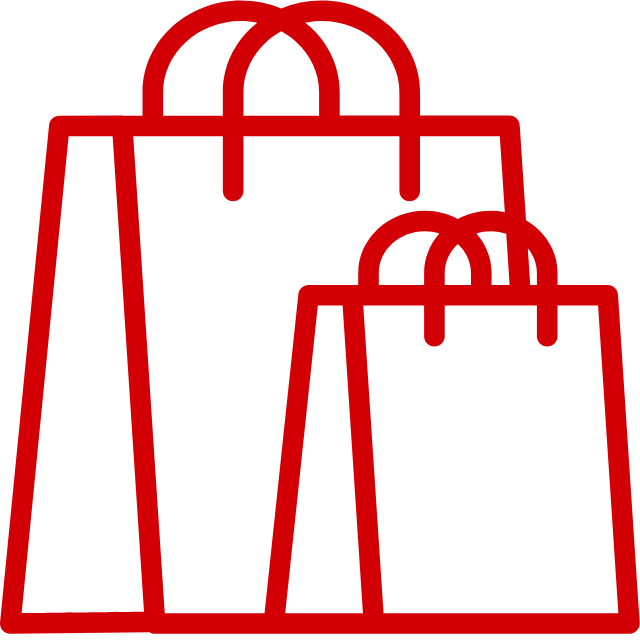 Shopping Bag Icon